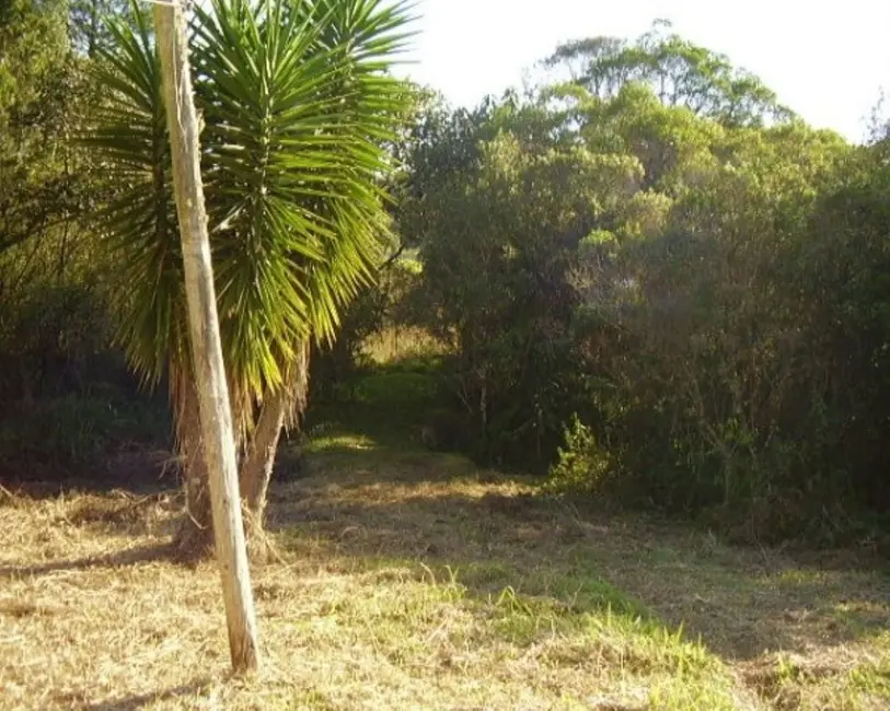 Foto 2 de Sítio / Rancho com 4 quartos à venda, 48000m2 em Biritiba Ussu, Mogi Das Cruzes - SP