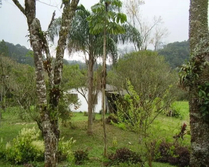 Sítio / Rancho com 4 quartos à venda, 48000m2 em Biritiba Ussu, Mogi Das Cruzes - SP - imagem 6 Foto 6 de Sítio / Rancho com 4 quartos à venda, 48000m2 em Biritiba Ussu, Mogi Das Cruzes - SP