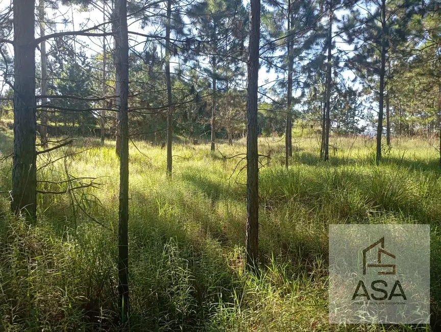 Foto 1 de Sala Comercial à venda, 30000m2 em Cocuera, Mogi Das Cruzes - SP