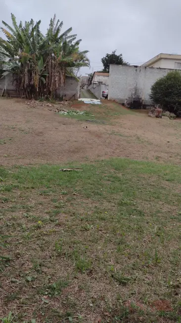 Foto 6 de Casa com 8 quartos à venda, 3050m2 em Alto Ipiranga, Mogi Das Cruzes - SP