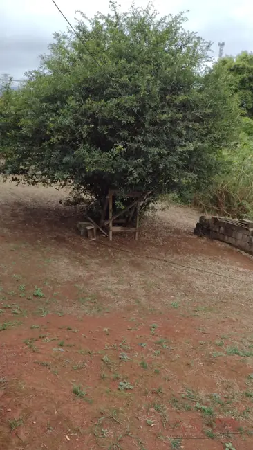 Foto 5 de Casa com 8 quartos à venda, 3050m2 em Alto Ipiranga, Mogi Das Cruzes - SP