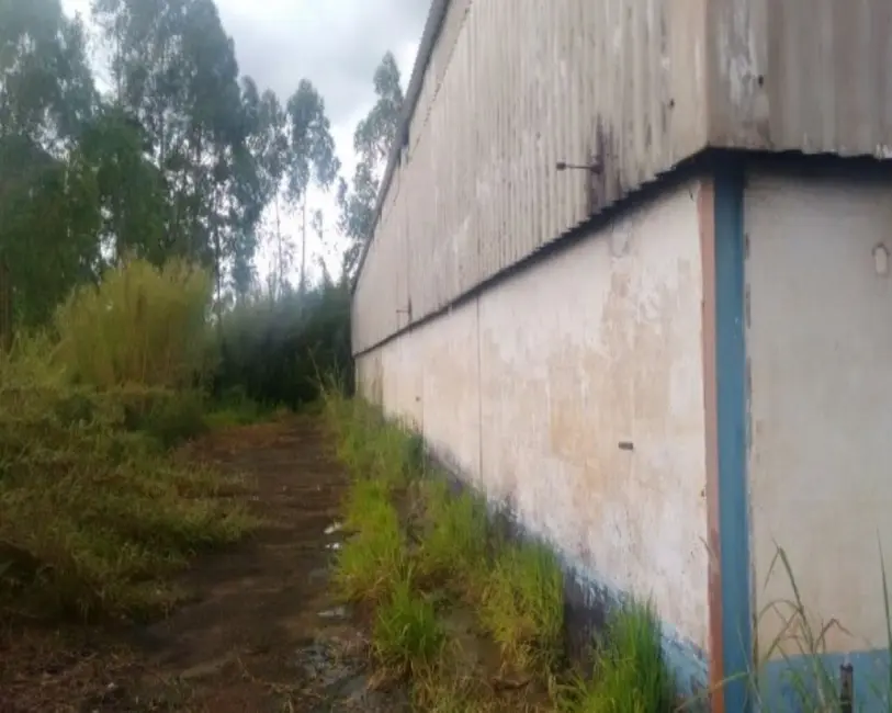 Foto 5 de Armazém / Galpão à venda, 7958m2 em Vila Suissa, Mogi Das Cruzes - SP