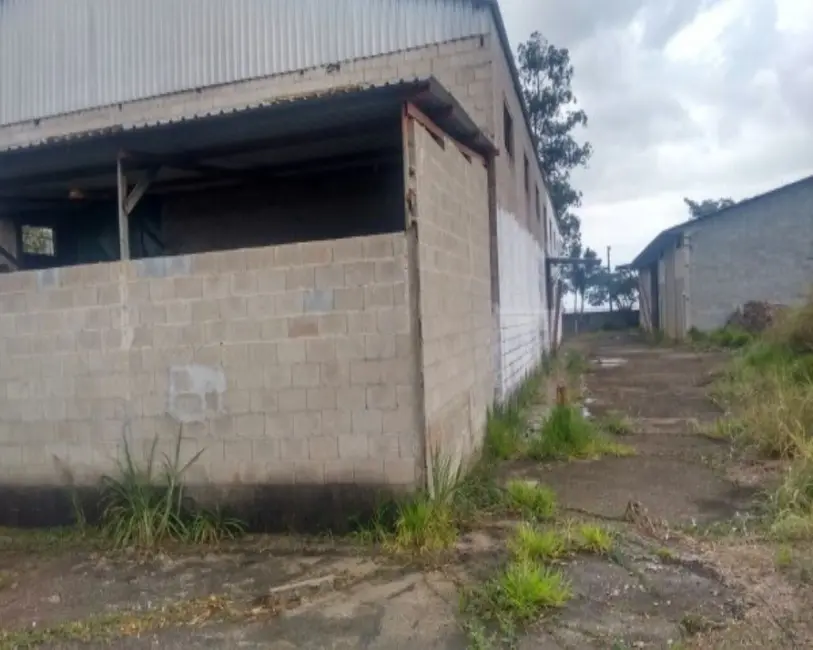 Foto 9 de Armazém / Galpão à venda, 7958m2 em Vila Suissa, Mogi Das Cruzes - SP