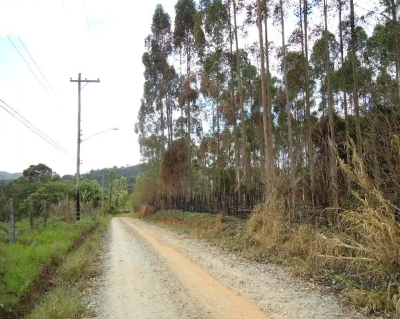 Foto 9 de Sala Comercial à venda, 21000m2 em Vila Moraes, Mogi Das Cruzes - SP