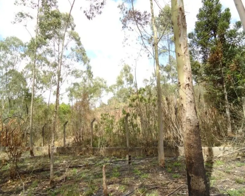 Foto 6 de Sala Comercial à venda, 21000m2 em Vila Moraes, Mogi Das Cruzes - SP