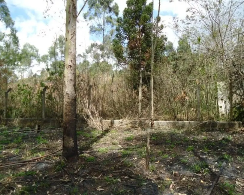 Foto 5 de Sala Comercial à venda, 21000m2 em Vila Moraes, Mogi Das Cruzes - SP