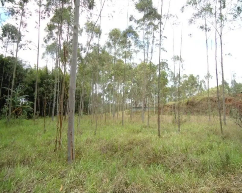 Foto 8 de Sala Comercial à venda, 21000m2 em Vila Moraes, Mogi Das Cruzes - SP