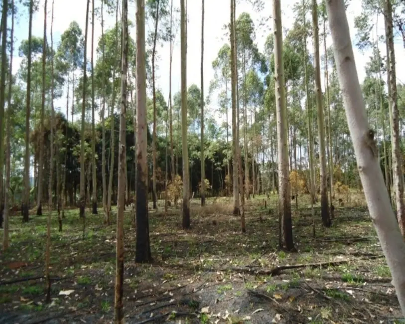 Foto 3 de Sala Comercial à venda, 21000m2 em Vila Moraes, Mogi Das Cruzes - SP