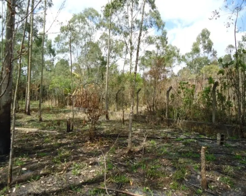Foto 7 de Sala Comercial à venda, 21000m2 em Vila Moraes, Mogi Das Cruzes - SP