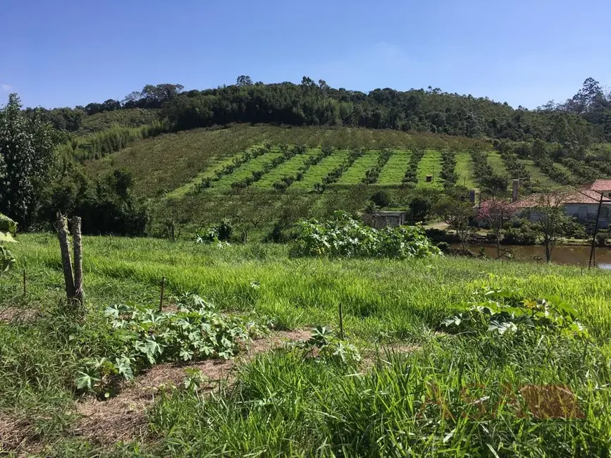Foto 7 de Sítio / Rancho com 3 quartos à venda, 9m2 em Mogi Das Cruzes - SP