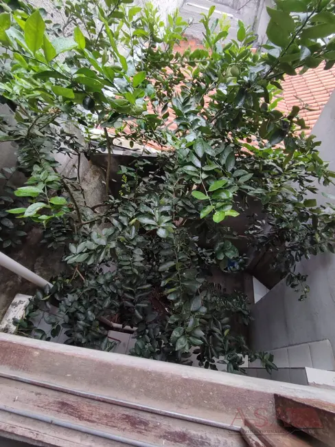 Foto 3 de Casa com 4 quartos à venda, 187m2 em Vila Rei, Mogi Das Cruzes - SP