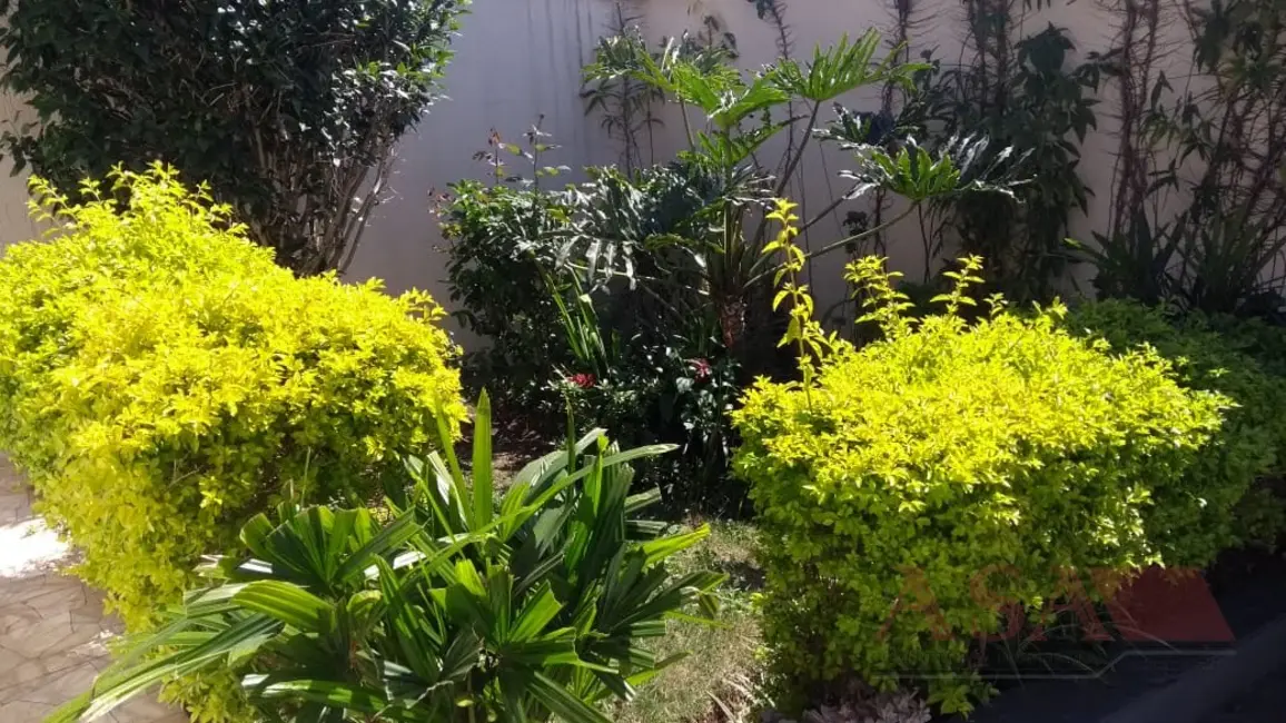 Foto 7 de Casa com 4 quartos à venda em Jardim São Pedro, Mogi Das Cruzes - SP