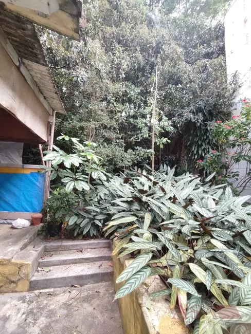 Foto 6 de Casa com 3 quartos à venda, 400m2 em Vila Oliveira, Mogi Das Cruzes - SP