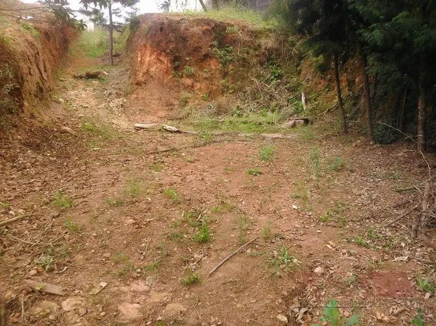 Foto 5 de Terreno / Lote à venda, 600m2 em Vila Oliveira, Mogi Das Cruzes - SP