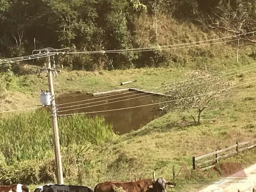 Sítio / Rancho com 3 quartos à venda, 37200m2 em Guararema - SP - imagem 9 Foto 9 de Sítio / Rancho com 3 quartos à venda, 37200m2 em Guararema - SP