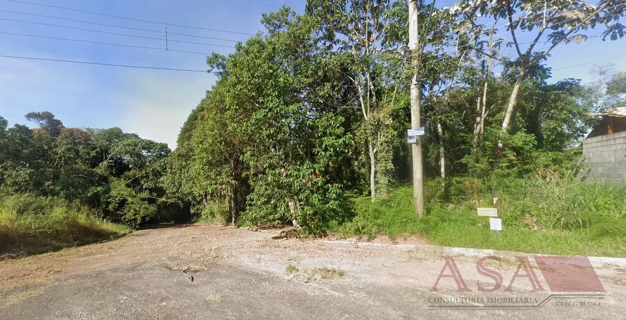 Foto 3 de Terreno / Lote à venda, 2468m2 em Fazenda Capelinha, Mogi Das Cruzes - SP