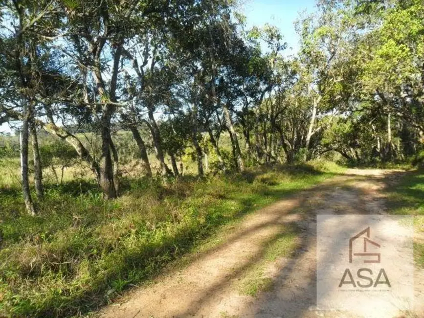 Foto 7 de Casa à venda, 98000m2 em Cocuera, Mogi Das Cruzes - SP