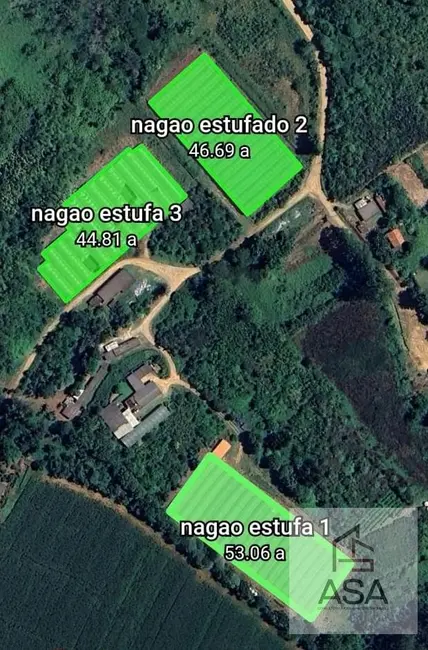 Foto 1 de Chácara com 5 quartos à venda, 79723m2 em Pindorama, Mogi Das Cruzes - SP