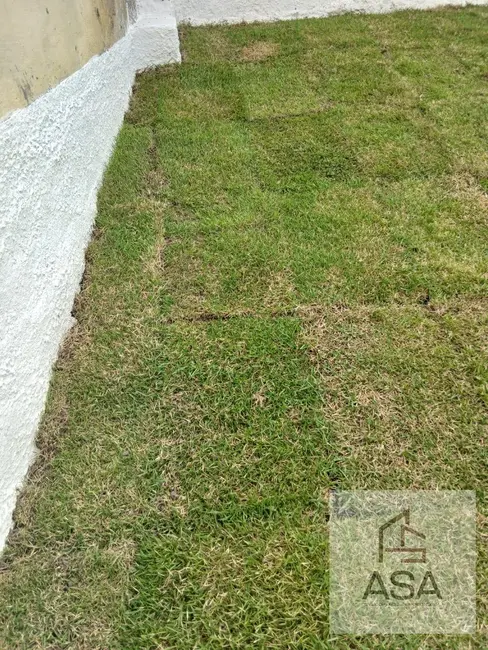 Foto 6 de Armazém / Galpão para alugar, 250m2 em Vila São Paulo, Mogi Das Cruzes - SP