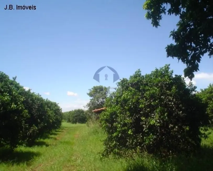 Foto 3 de Terreno / Lote à venda, 67789m2 em Cosmopolis - SP