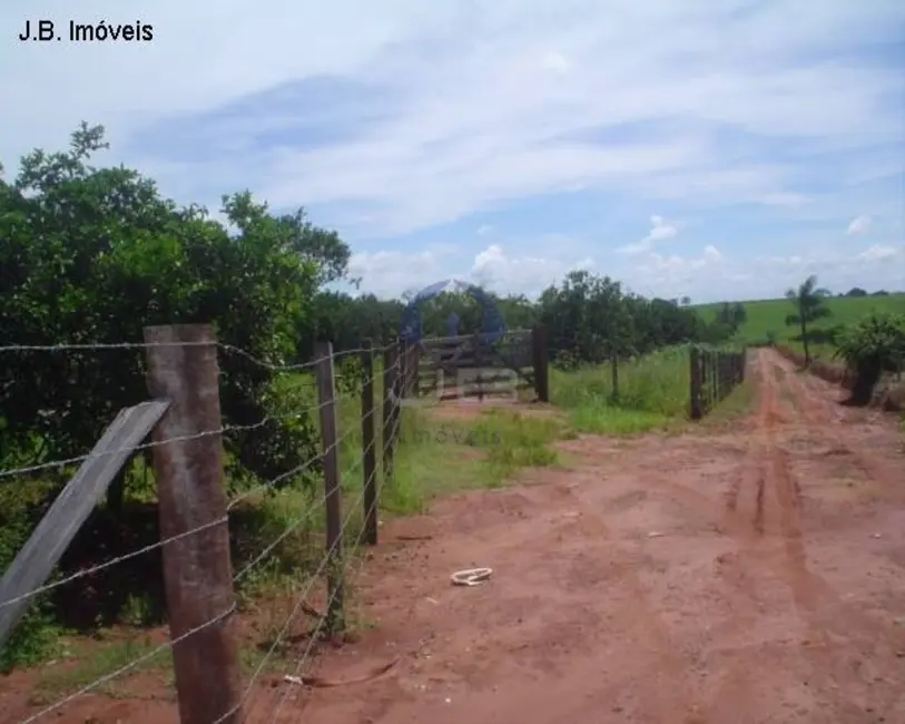 Foto 7 de Terreno / Lote à venda, 67789m2 em Cosmopolis - SP