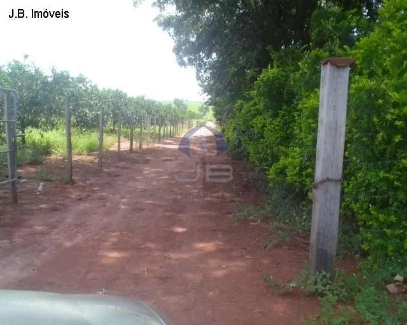 Foto 2 de Terreno / Lote à venda, 67789m2 em Cosmopolis - SP