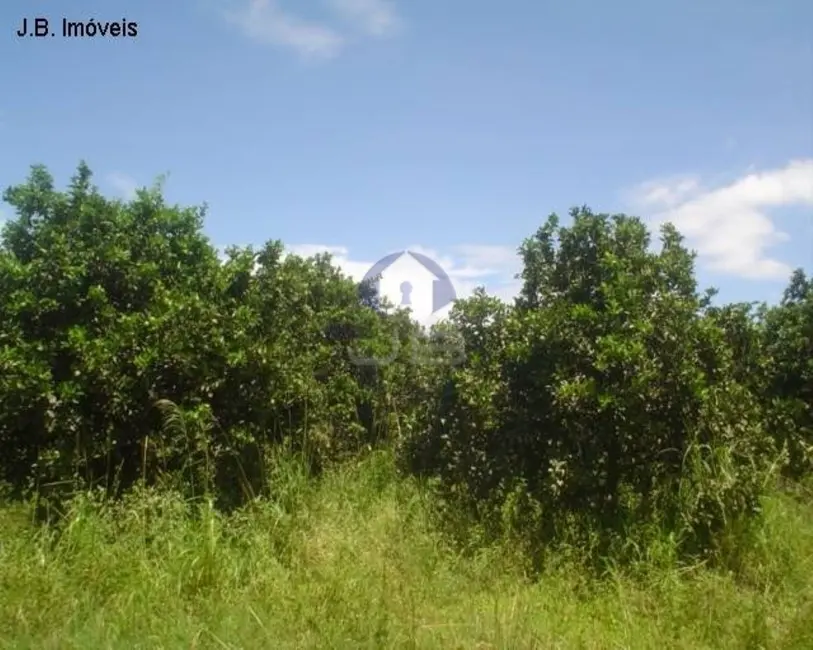Foto 4 de Terreno / Lote à venda, 67789m2 em Cosmopolis - SP