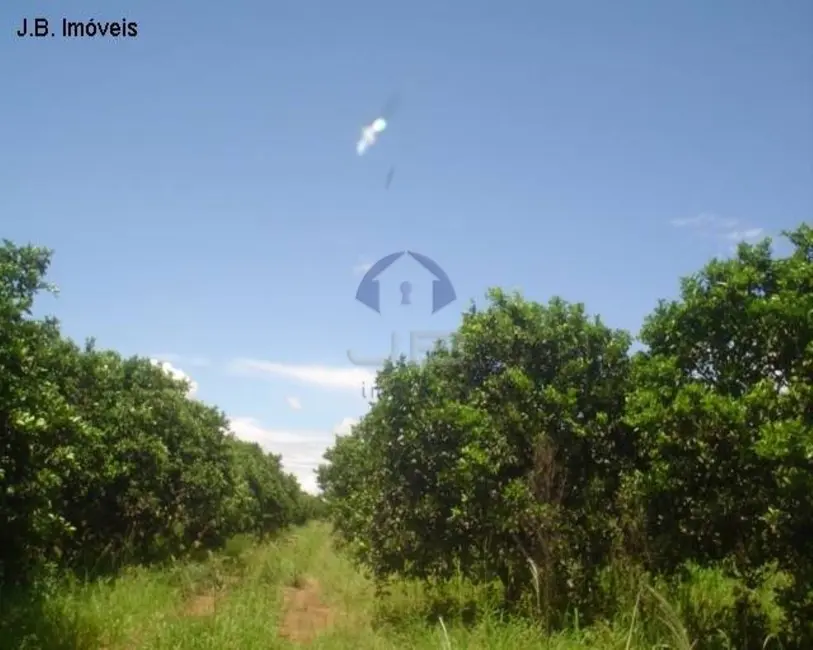 Foto 5 de Terreno / Lote à venda, 67789m2 em Cosmopolis - SP