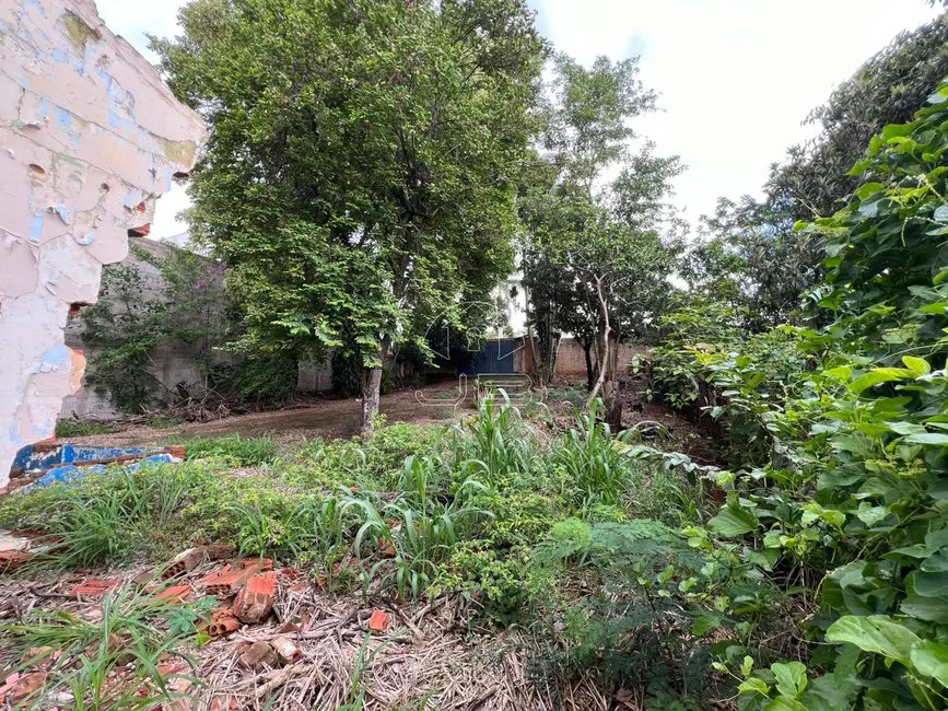 Terreno / Lote à venda, 940m2 em Chácara Boa Vista, Campinas - SP - imagem 8 Foto 8 de Terreno / Lote à venda, 940m2 em Chácara Boa Vista, Campinas - SP