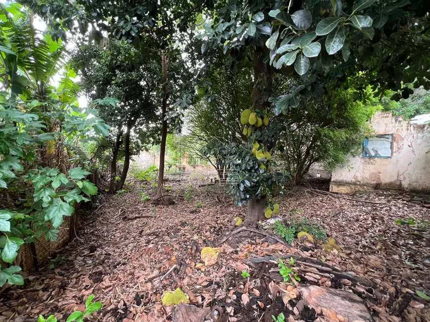 Terreno / Lote à venda, 940m2 em Chácara Boa Vista, Campinas - SP - imagem 7 Foto 7 de Terreno / Lote à venda, 940m2 em Chácara Boa Vista, Campinas - SP