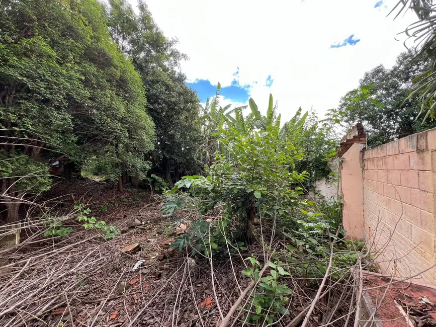 Terreno / Lote à venda, 940m2 em Chácara Boa Vista, Campinas - SP - imagem 6 Foto 6 de Terreno / Lote à venda, 940m2 em Chácara Boa Vista, Campinas - SP