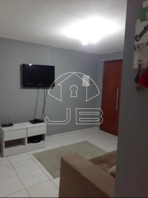 Apartamento com 2 quartos à venda, 45m2 em Conjunto Habitacional Edivaldo Antônio Orsi, Campinas - SP - imagem 1 Foto 1 de Apartamento com 2 quartos à venda, 45m2 em Conjunto Habitacional Edivaldo Antônio Orsi, Campinas - SP