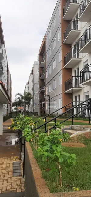 Apartamento com 2 quartos à venda, 42m2 em Jardim García, Campinas - SP - imagem 1 Foto 1 de Apartamento com 2 quartos à venda, 42m2 em Jardim García, Campinas - SP