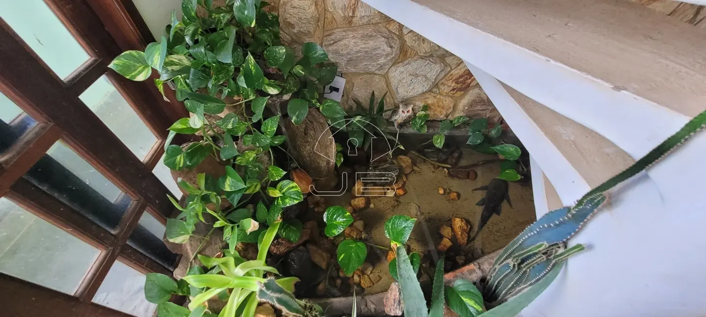 Foto 6 de Casa com 2 quartos à venda, 220m2 em Jardim Maria Antonia (Nova Veneza), Sumare - SP