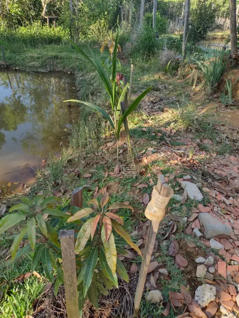 Foto 4 de Chácara com 2 quartos à venda, 850m2 em Jacutinga - MG