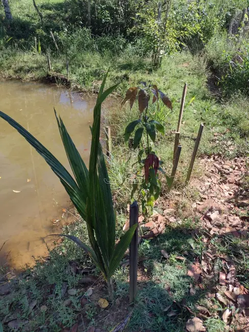 Foto 8 de Chácara com 2 quartos à venda, 850m2 em Jacutinga - MG