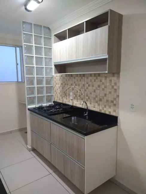 Apartamento com 2 quartos à venda, 43m2 em Loteamento Parque São Martinho, Campinas - SP - imagem 8 Foto 8 de Apartamento com 2 quartos à venda, 43m2 em Loteamento Parque São Martinho, Campinas - SP