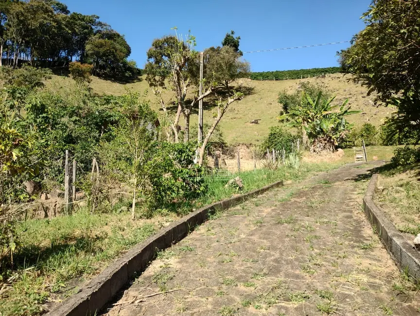 Chácara com 3 quartos à venda, 100m2 em Bueno Brandao - MG - imagem 8 Foto 8 de Chácara com 3 quartos à venda, 100m2 em Bueno Brandao - MG