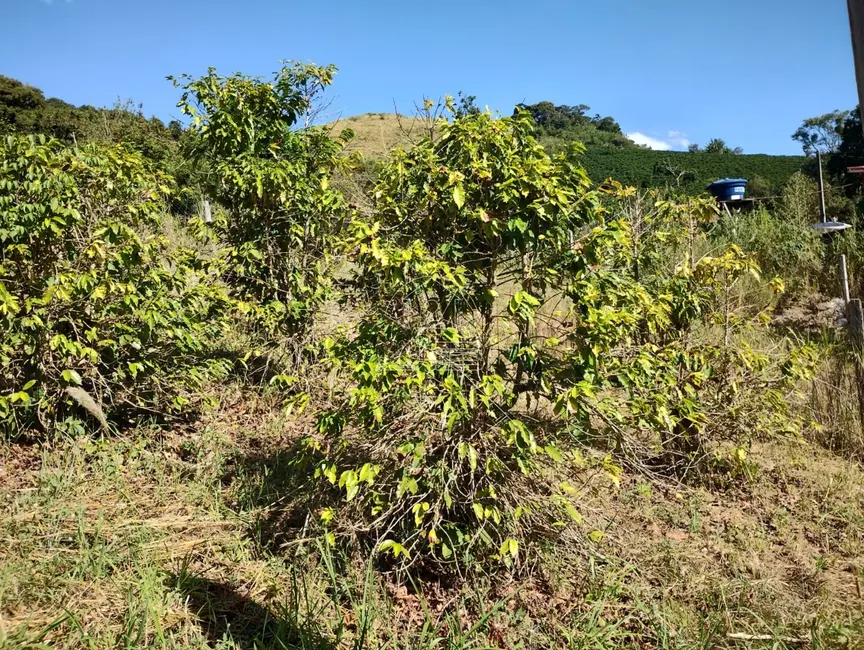 Chácara com 3 quartos à venda, 100m2 em Bueno Brandao - MG - imagem 6 Foto 6 de Chácara com 3 quartos à venda, 100m2 em Bueno Brandao - MG