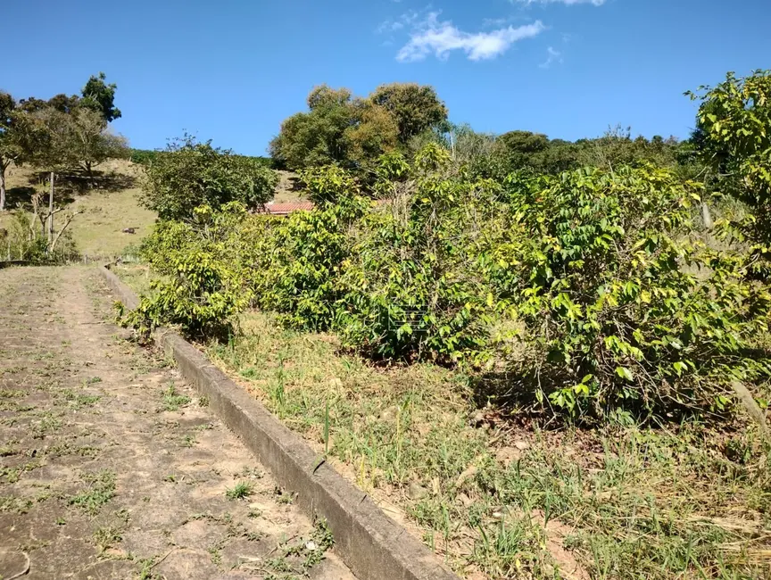 Chácara com 3 quartos à venda, 100m2 em Bueno Brandao - MG - imagem 4 Foto 4 de Chácara com 3 quartos à venda, 100m2 em Bueno Brandao - MG