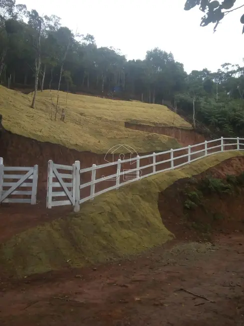 Foto 2 de Terreno / Lote à venda, 1000m2 em Santo Antonio Do Pinhal - SP
