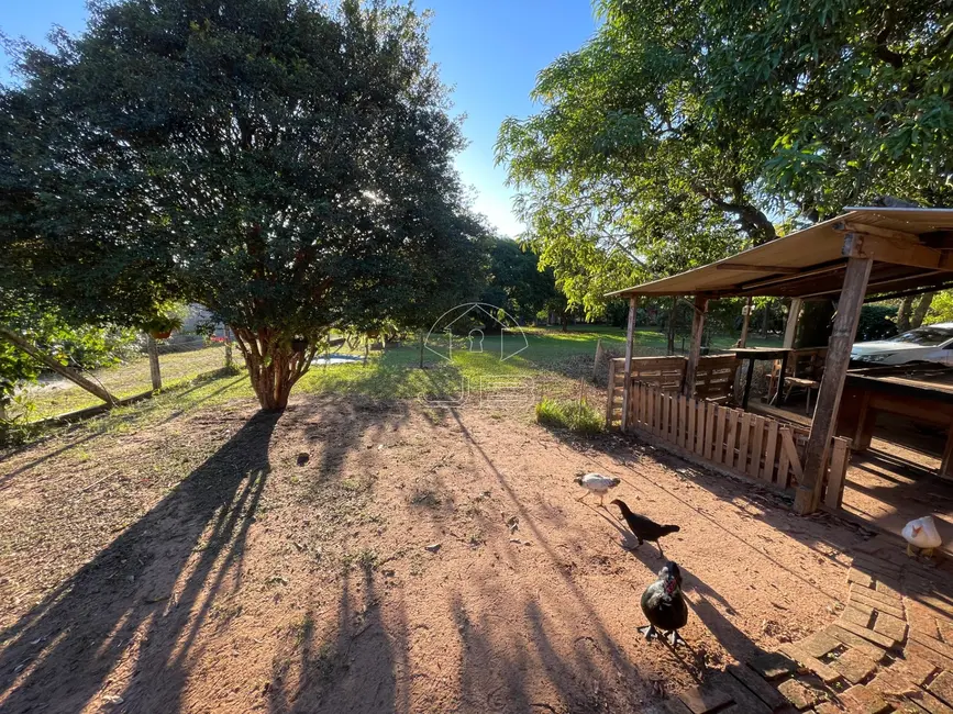 Foto 5 de Chácara com 2 quartos à venda, 130m2 em Bairro dos Pires, Limeira - SP