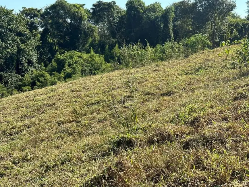 Foto 7 de Terreno / Lote à venda, 20000m2 em Monte Mor - SP