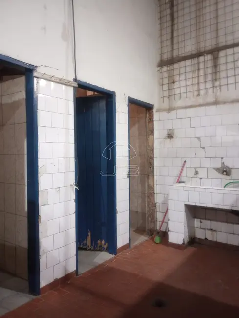 Foto 2 de Armazém / Galpão para alugar, 360m2 em Jardim Aparecida, Campinas - SP