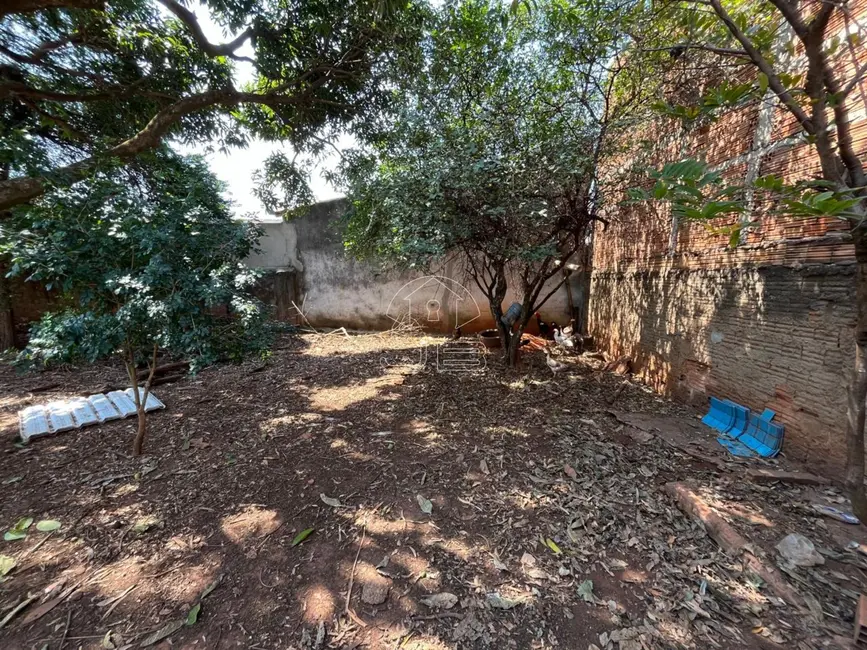 Foto 5 de Terreno / Lote à venda, 250m2 em Jardim Fantinatti (Nova Veneza), Sumare - SP