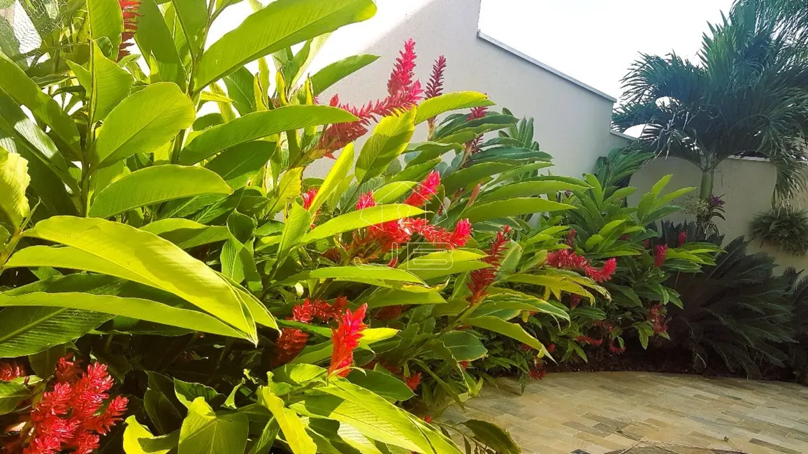 Foto 2 de Casa com 3 quartos à venda, 351m2 em Swiss Park, Campinas - SP