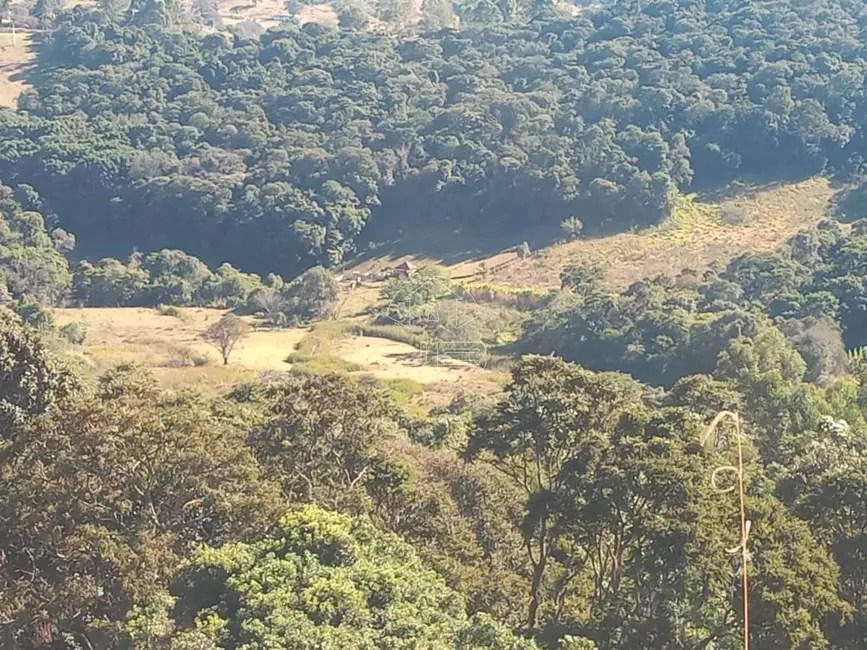 Foto 3 de Sítio / Rancho com 1 quarto à venda em Munhoz - MG