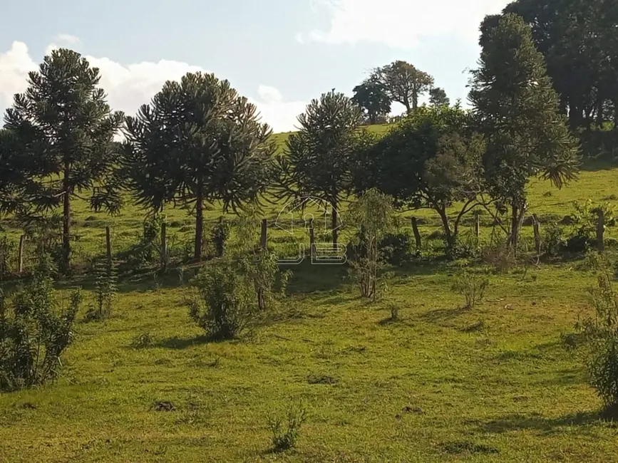 Foto 7 de Sítio / Rancho com 1 quarto à venda em Munhoz - MG