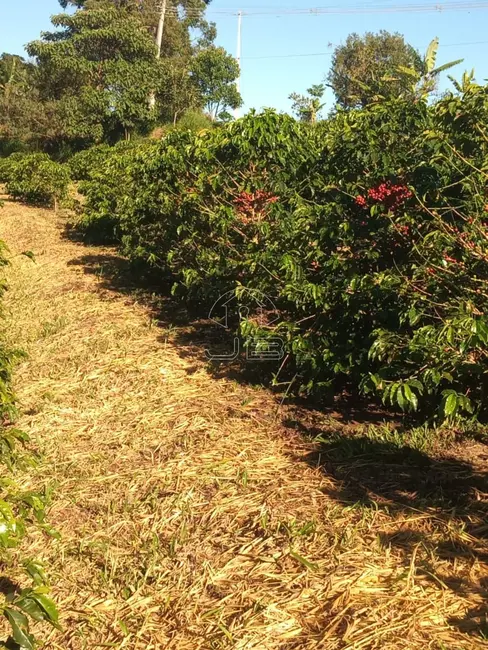 Foto 4 de Sítio / Rancho com 1 quarto à venda em Munhoz - MG