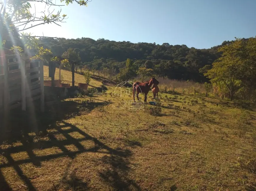 Foto 1 de Sítio / Rancho com 1 quarto à venda em Munhoz - MG